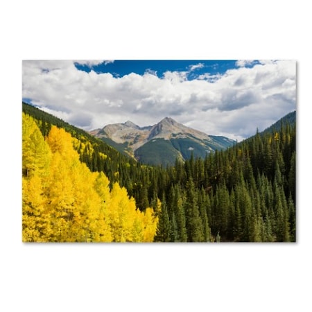 Michael Blanchette Photography 'Splash Of Gold' Canvas Art,16x24